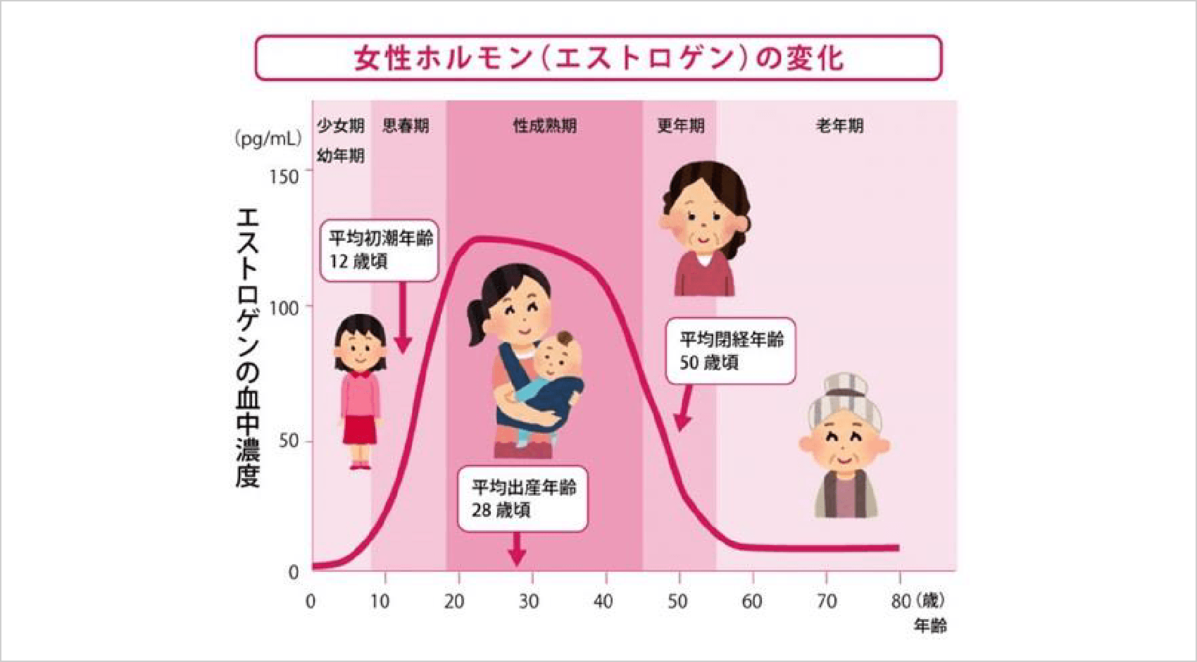 女性ホルモン（エストロゲンの変化）