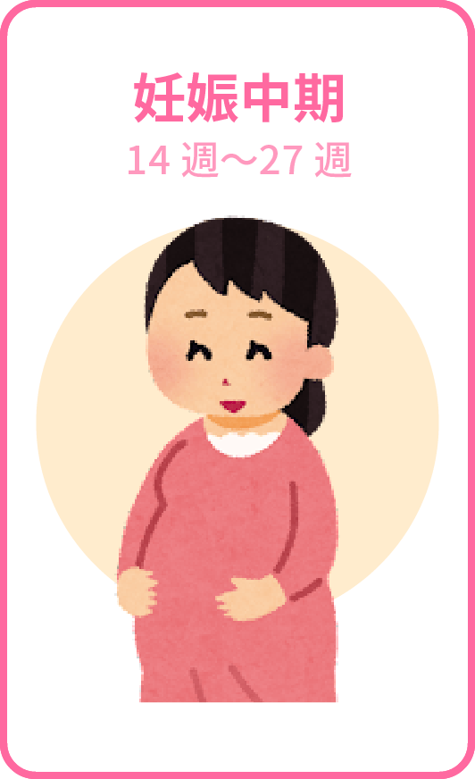 妊娠中期